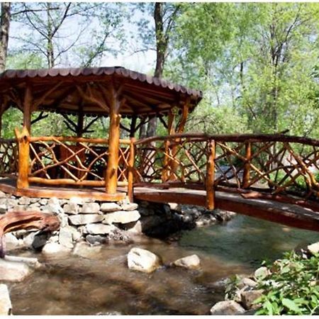 Pensiunea Pentru Tine Prietene Arcani Exteriér fotografie