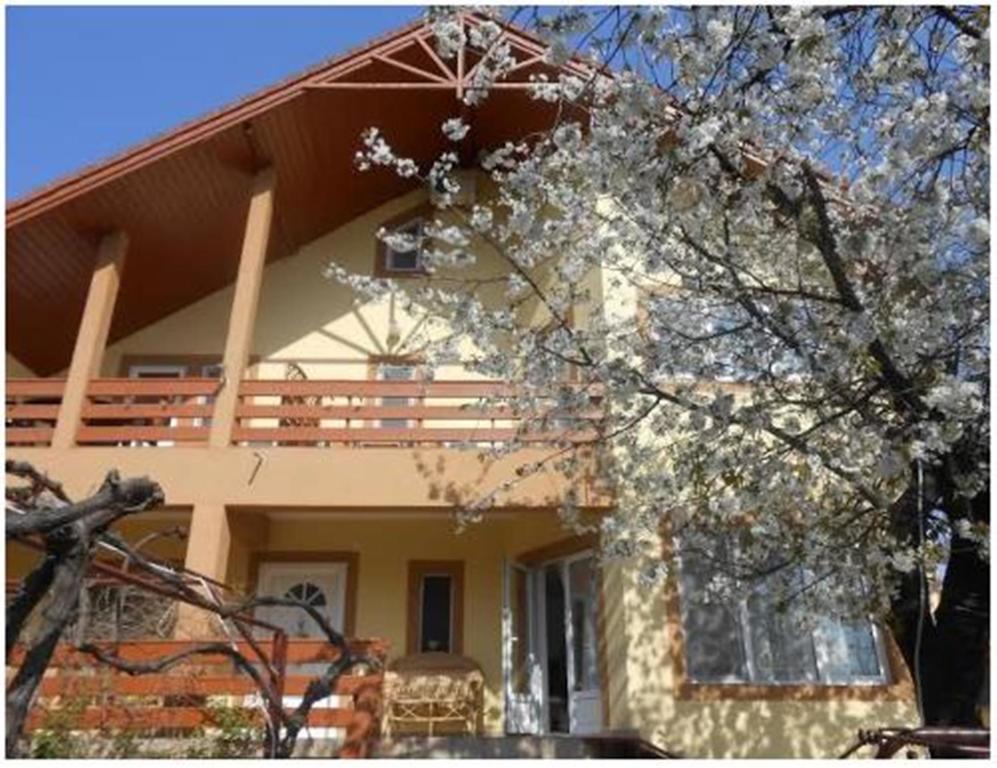 Pensiunea Pentru Tine Prietene Arcani Pokoj fotografie