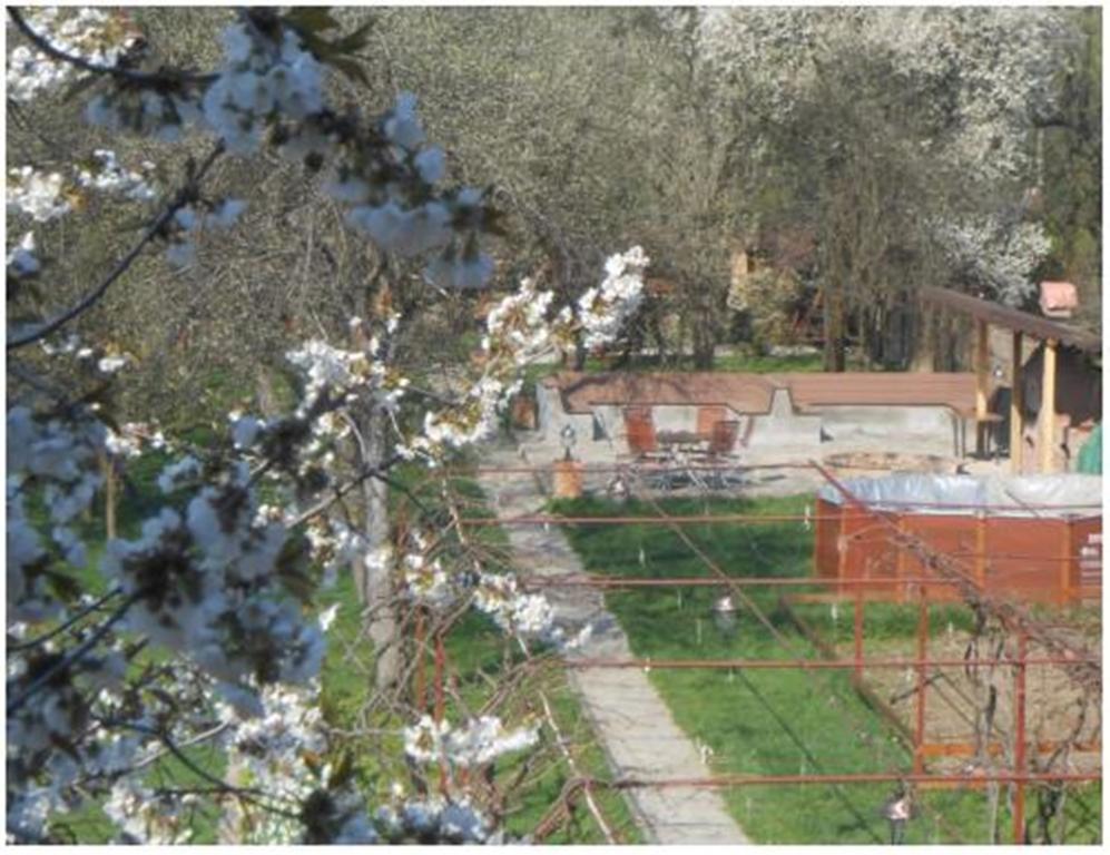 Pensiunea Pentru Tine Prietene Arcani Pokoj fotografie